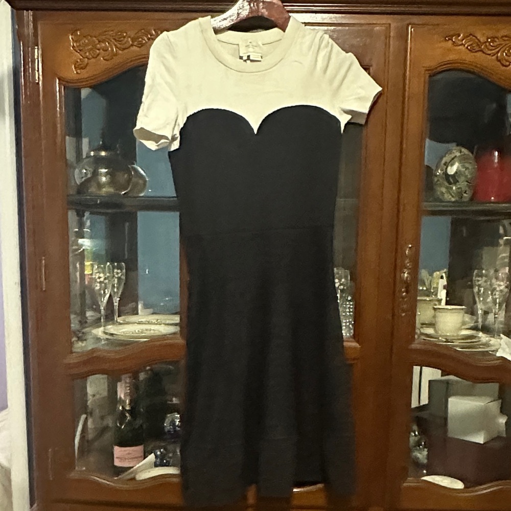 Kate Spade Look for the silver lining Flare Dress
